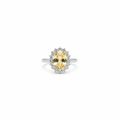 Citrine Halo Cluster Ring Studio